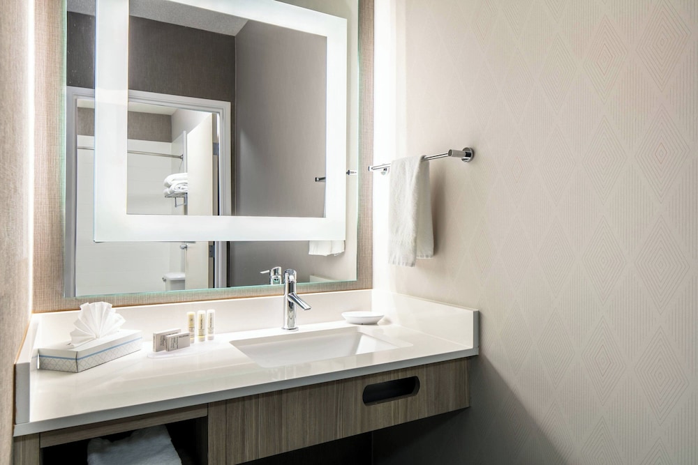 Suite - Photo 5