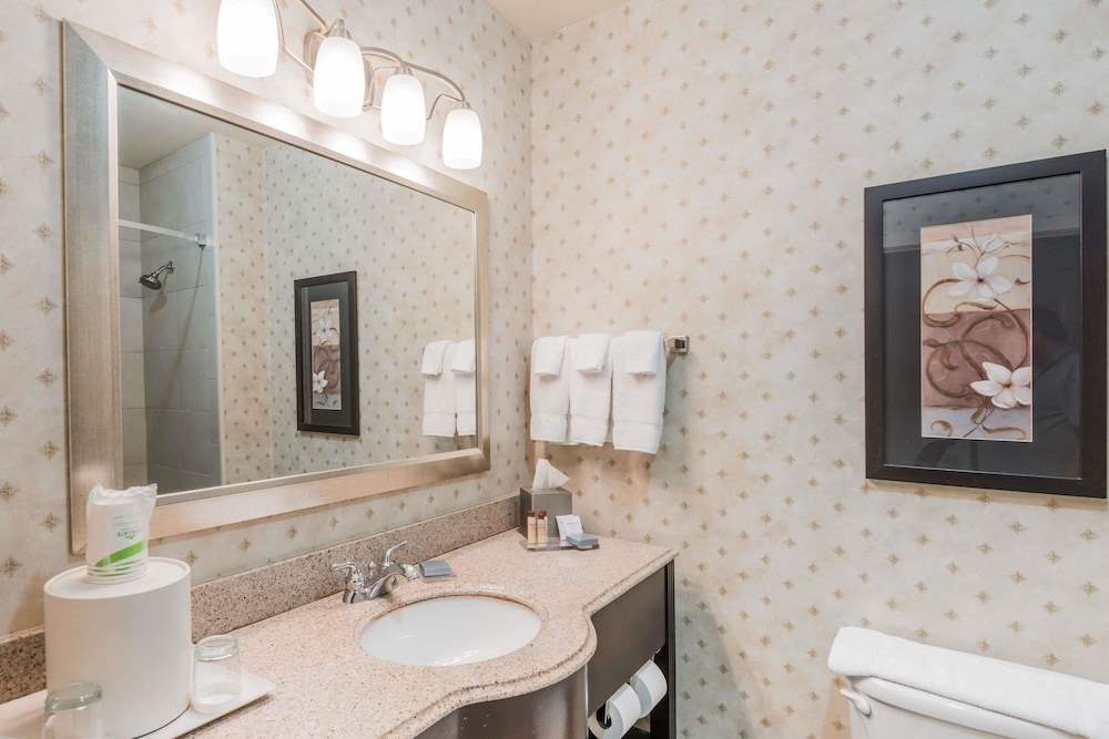 Studio Suite, 1 King Bed, Non Smoking, Bathtub (Mobility/Hearing) - Photo 4