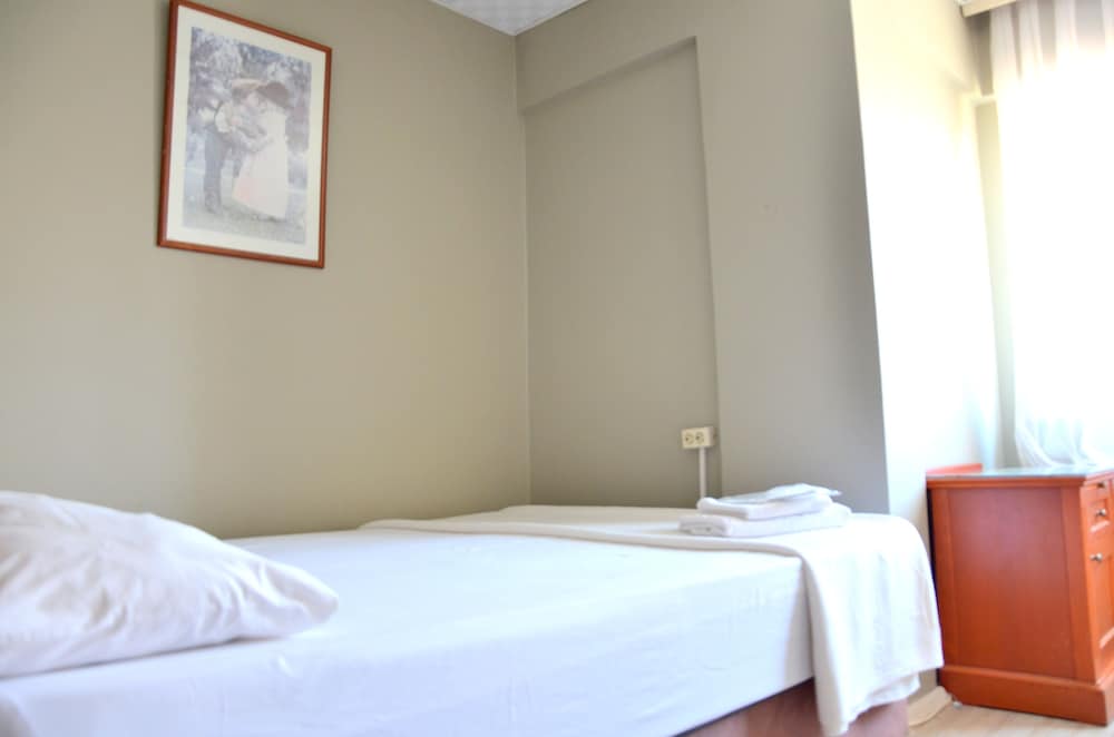 Standard Double Or Twin Room (Single Use) photo 3