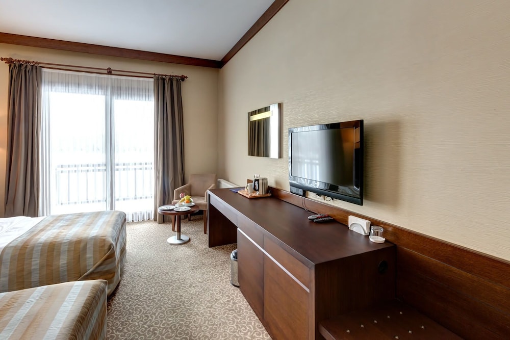 Standard Room, Mountain View photo 3