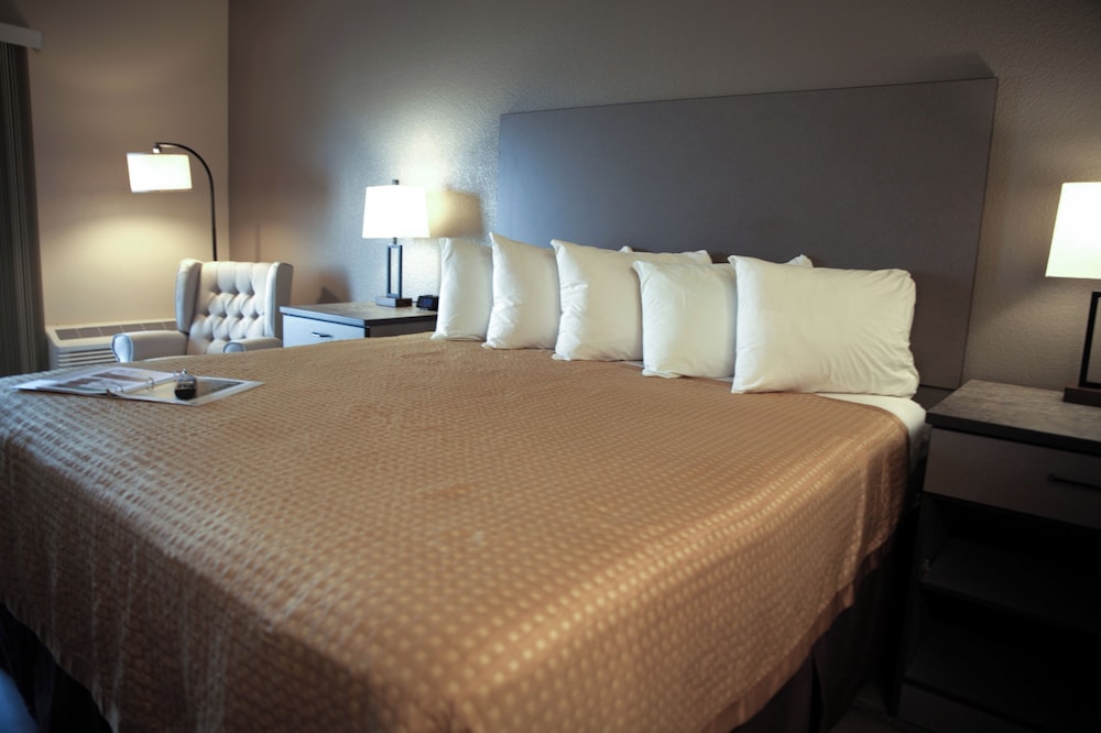 Standard Single Room, 1 King Bed, Non Smoking photo 2