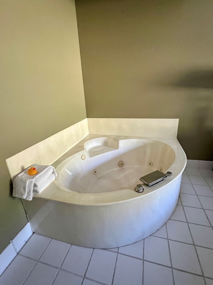 Room, 1 King Bed photo 3