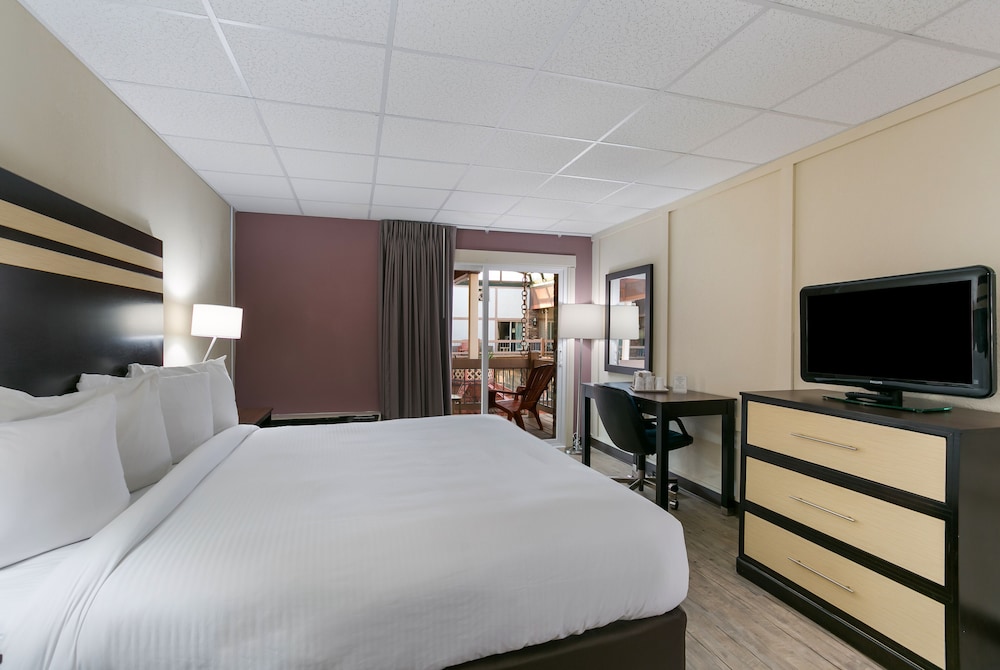 Deluxe Room, 1 King Bed, Pool Access, Poolside photo 3