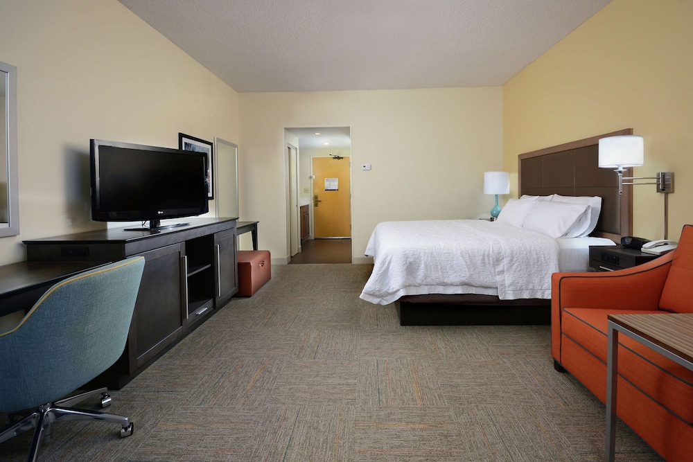 Room, 1 King Bed with Sofa bed, Non Smoking photo 3