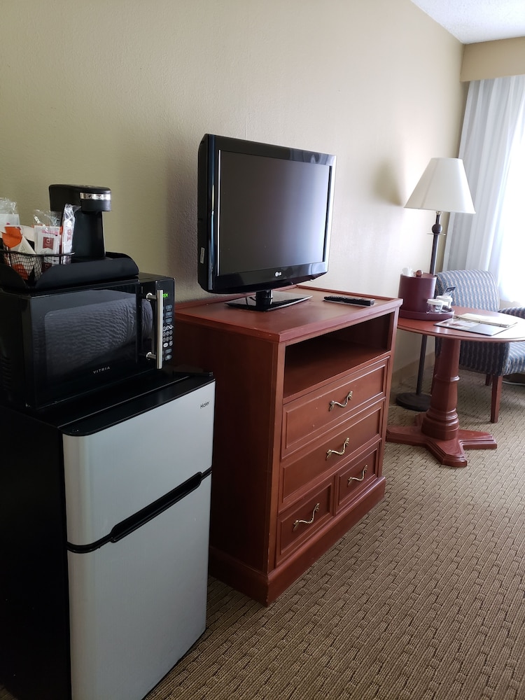 Standard Room, 1 King Bed, Non Smoking (Pet Friendly) - Photo 8