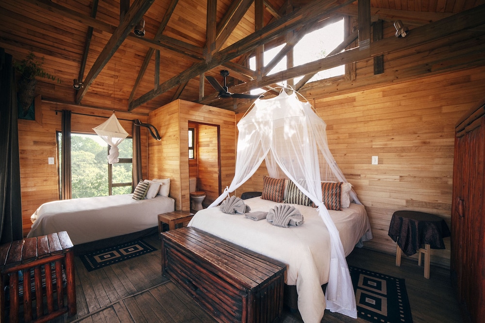 Jackalberry (Standard Tree House)