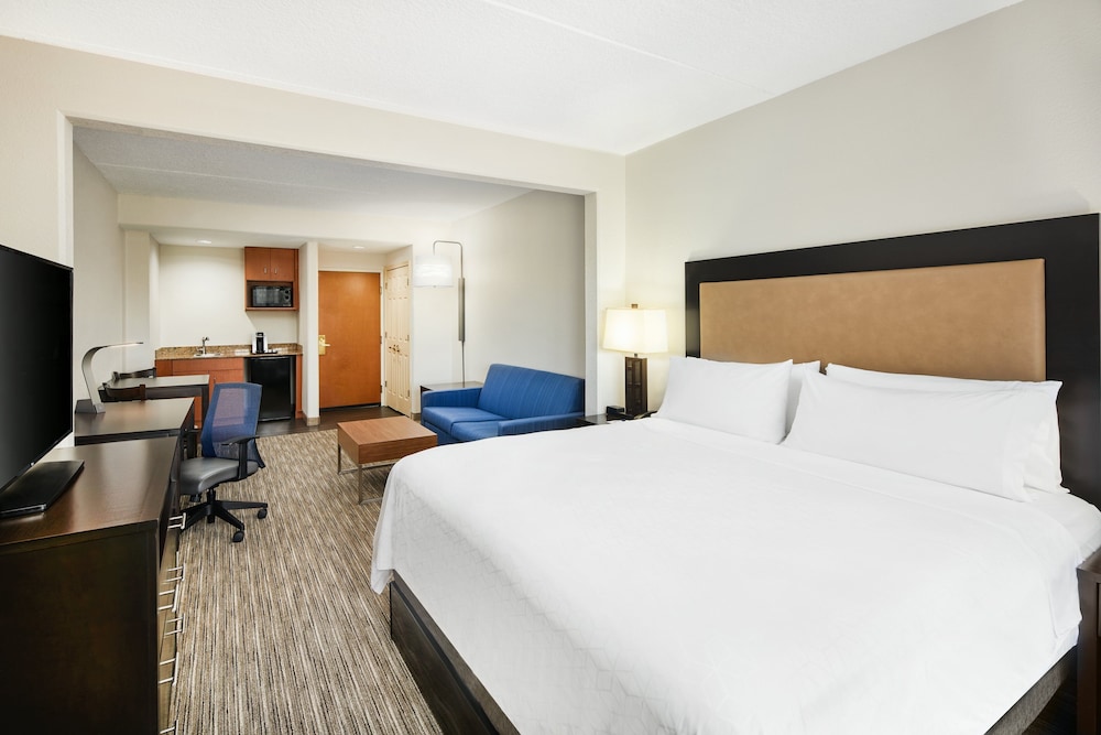 Suite, 1 King Bed (Additional Living Area) photo 2