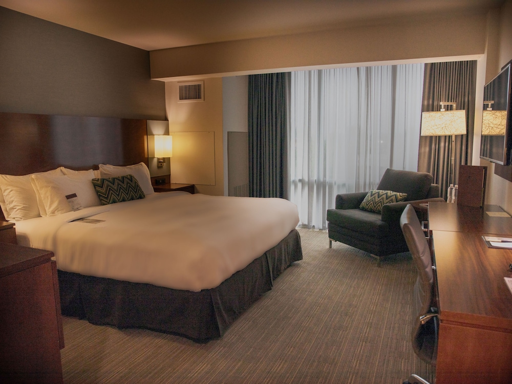 Room, 1 King Bed, Accessible - Photo 4