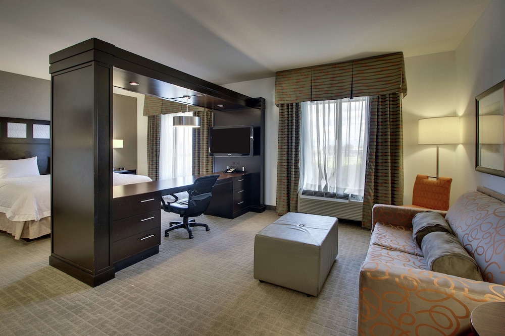 Studio Suite, 1 King Bed with Sofa bed photo 2