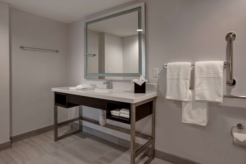 Suite, 1 King Bed, Accessible (Roll-In Shower) - Photo 4