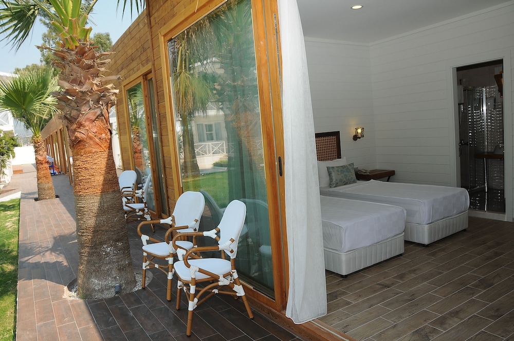 Standard Room, 1 Bedroom photo 3