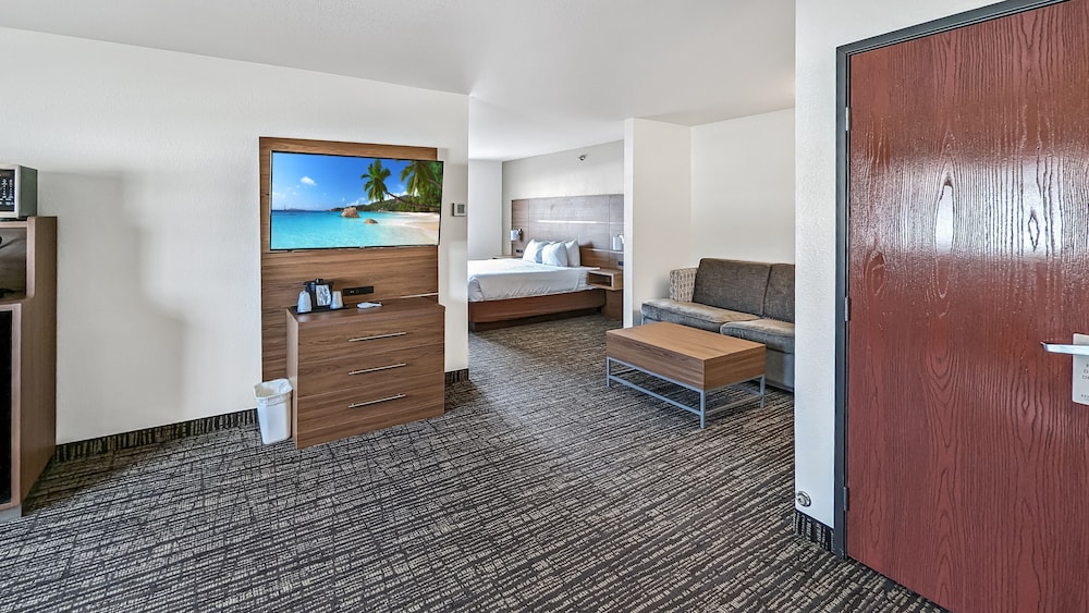 Deluxe Studio Suite photo 3