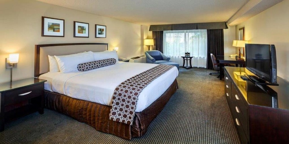 Deluxe Room, 1 King Bed, Non Smoking photo 1
