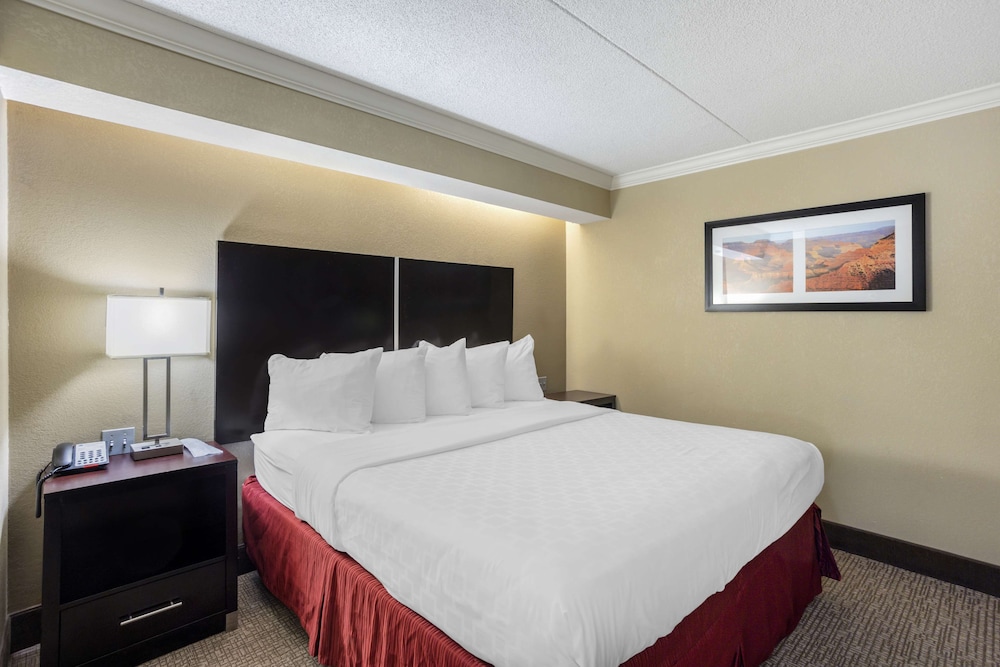 Suite, 1 King Bed, Non Smoking, Refrigerator & Microwave (Living Room;with Sofabed) - Photo 3