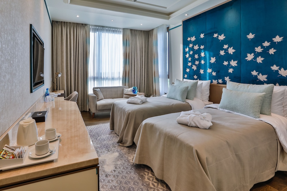 Superior Double or Twin Room photo 1
