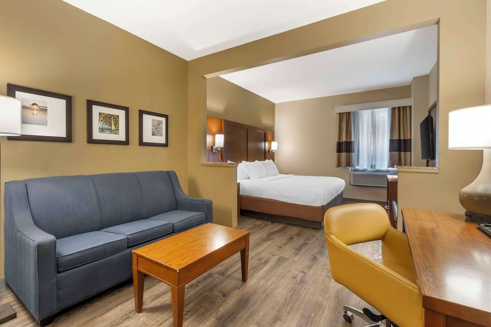 Suite, 1 King Bed with Sofa bed, Accessible, Non Smoking photo 3