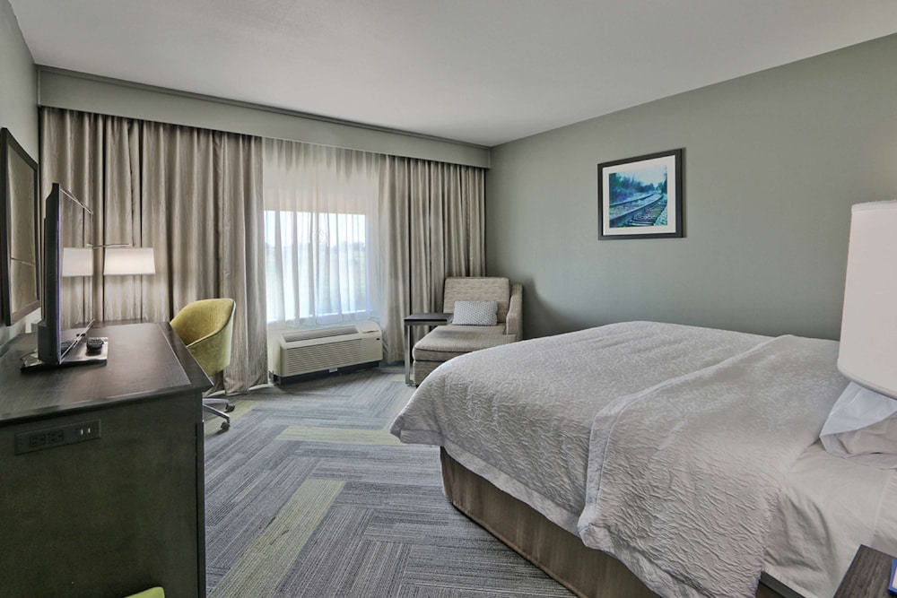 Room, 1 King Bed, Accessible, Non Smoking (Bathtub & Hearing accessible) photo 1