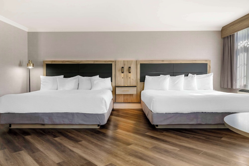 Suite, Multiple Beds, Non Smoking, Kitchenette (Living Room;with Sofabed) - Photo 3