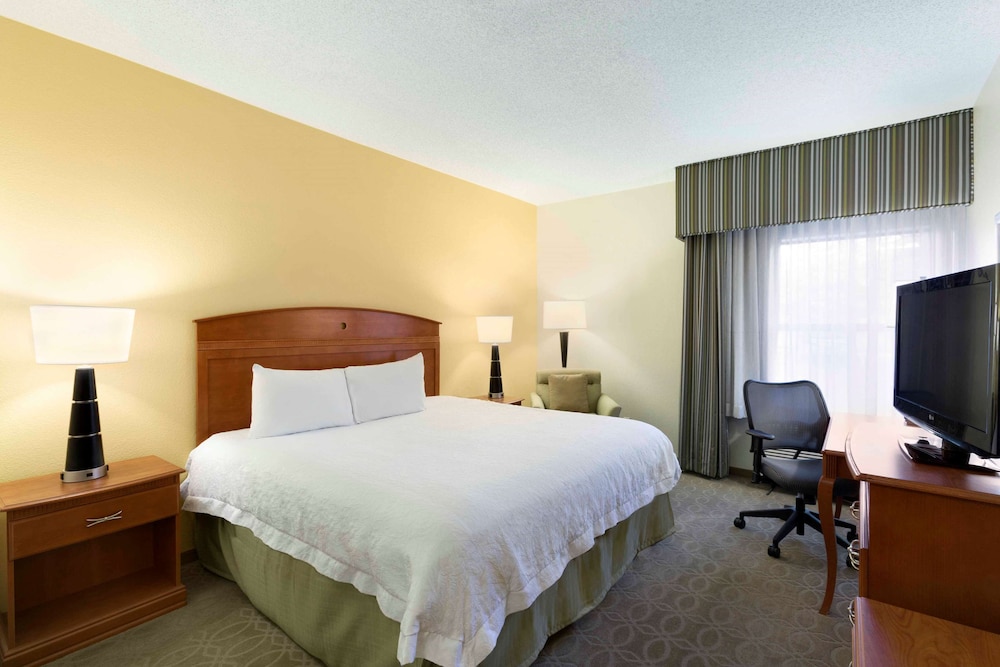 Room, 1 King Bed, Accessible, Non Smoking