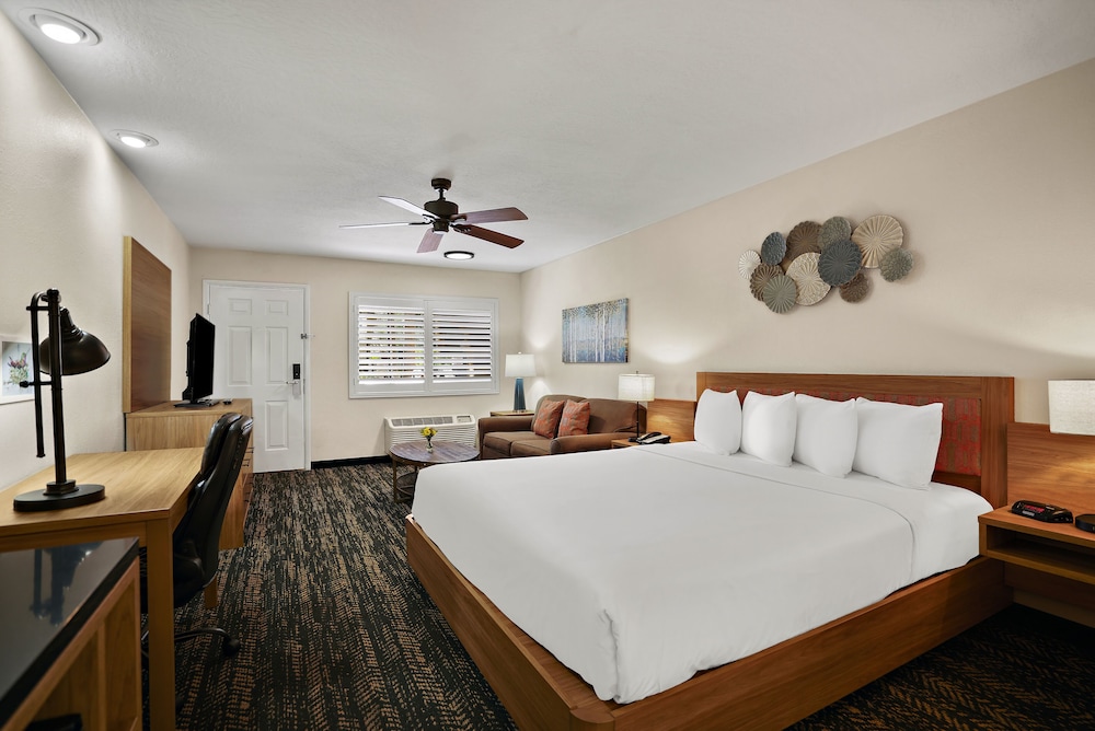 Deluxe Studio, 1 King Bed with Sofa bed, Non Smoking photo 1