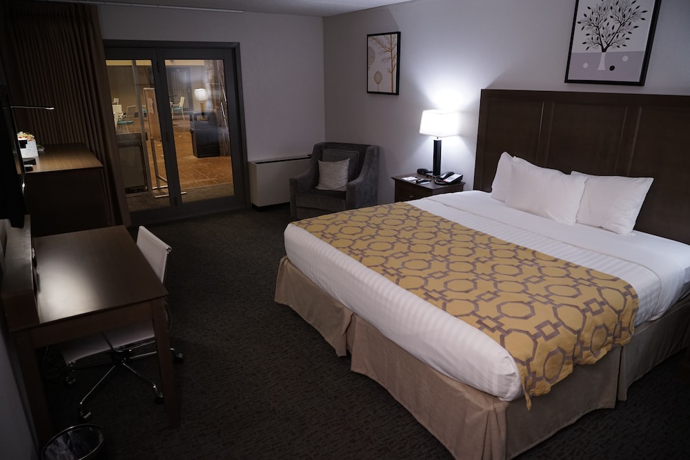 Room, 1 Queen Bed, Accessible, Non Smoking (Pet Friendly) - Photo 4