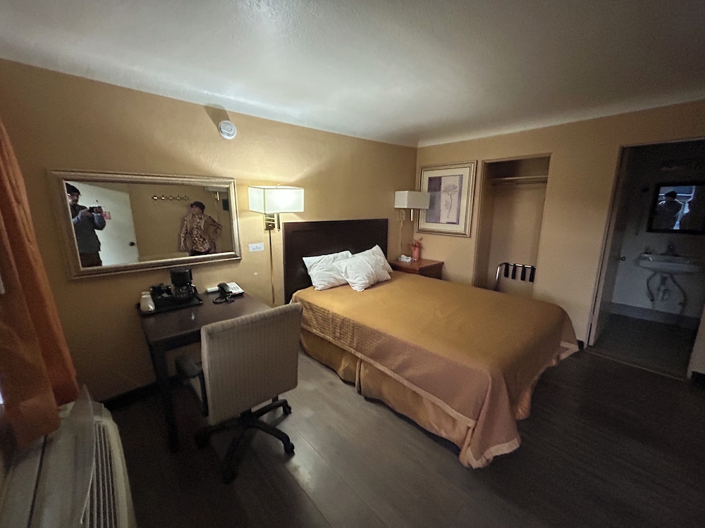 Deluxe Room, 1 King Bed, Non Smoking, Refrigerator & Microwave - Photo 3