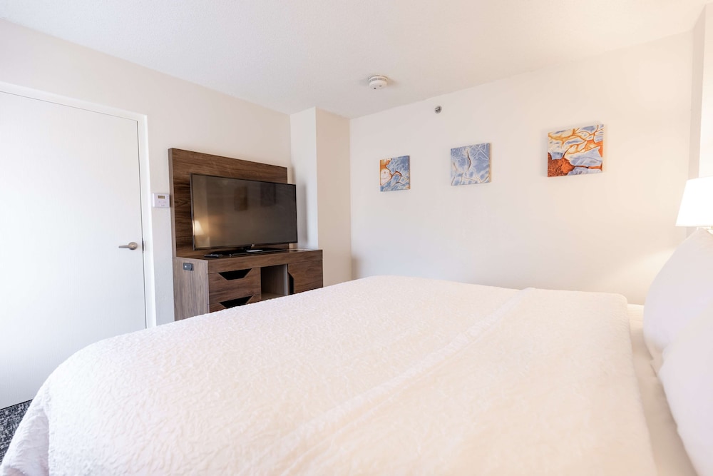 Suite, 1 King Bed photo 3