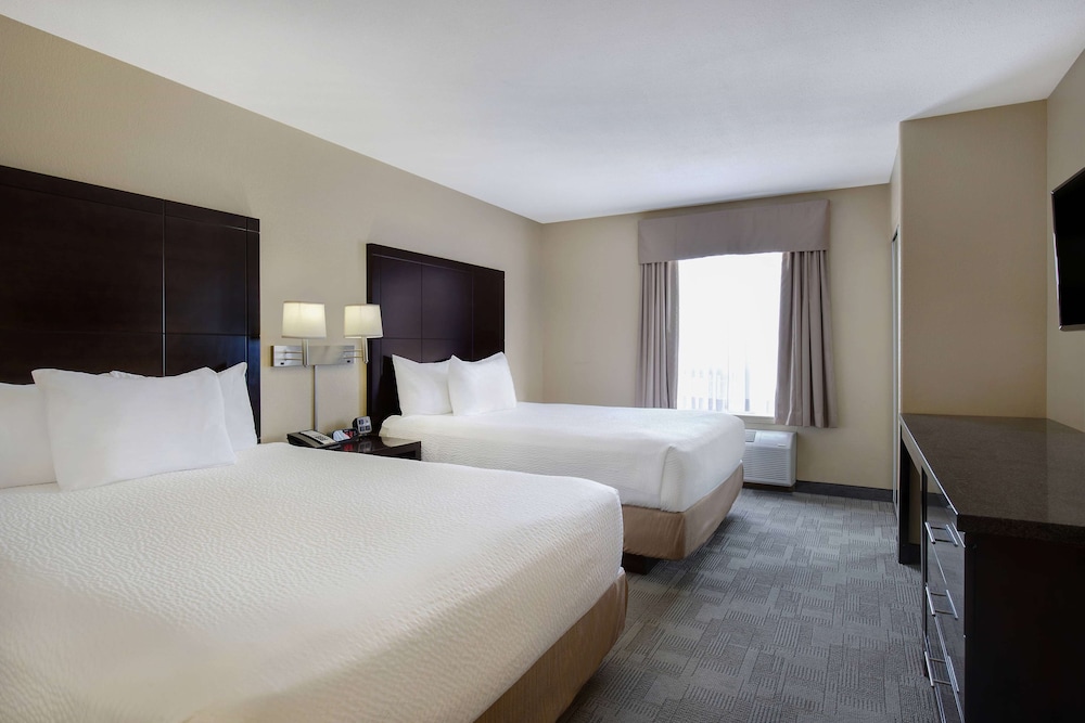 Premium 2 Queen Suite with Sofa Bed photo 3