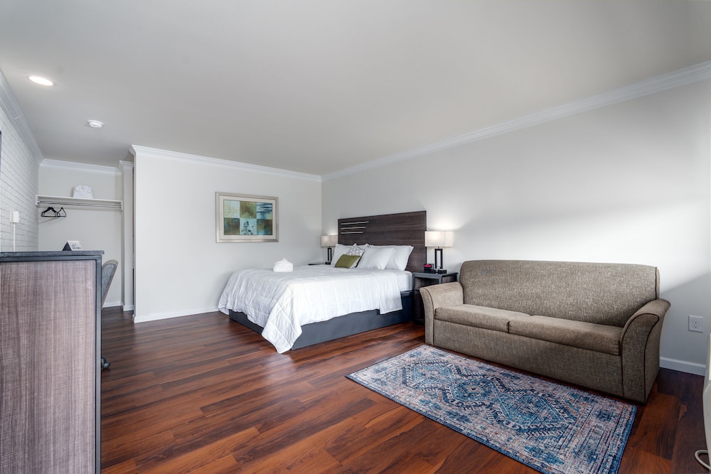 Elite Single Room