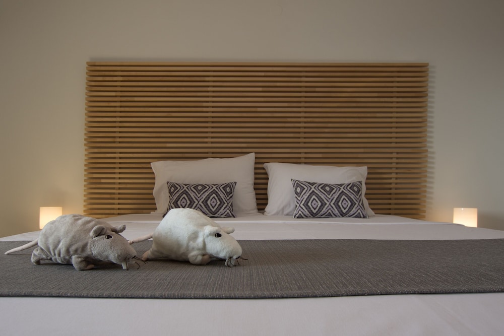 Superior Double Or Twin Room, Garden View