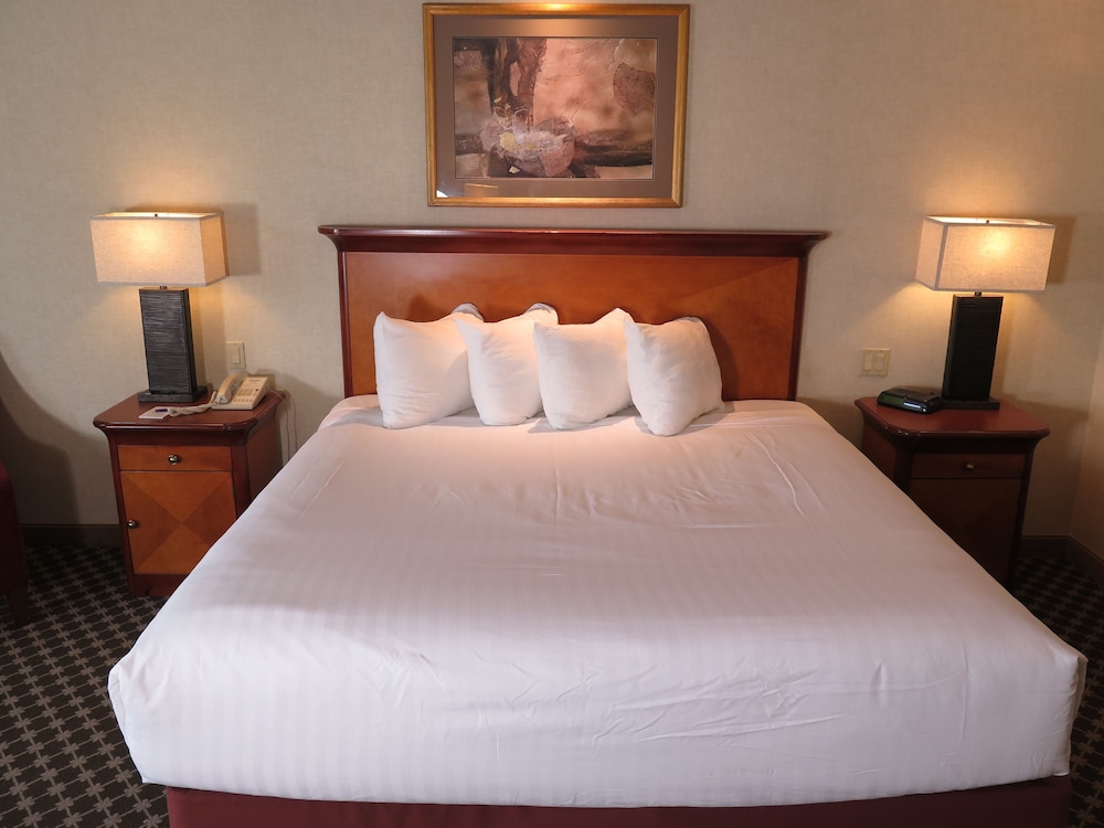 Premium Room, 1 King Bed - Photo 4