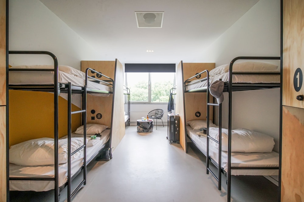 Shared Dormitory photo 1
