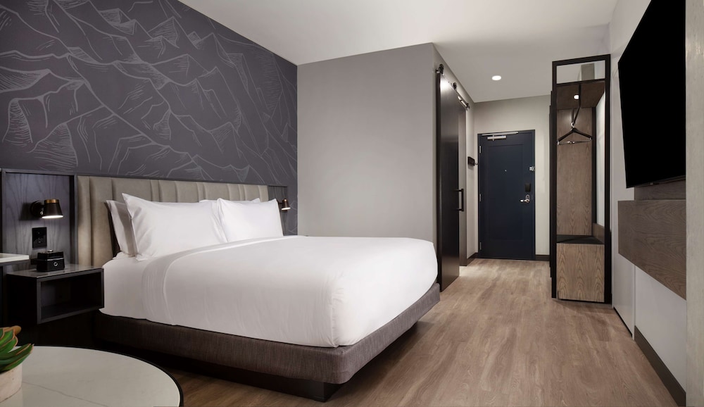 Room, 1 King Bed, Bathtub