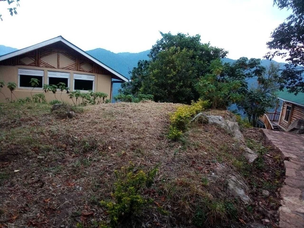 Luxury Cottage photo 3
