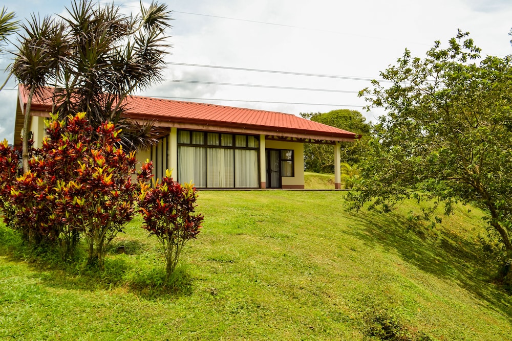 Standard Bungalow photo 3
