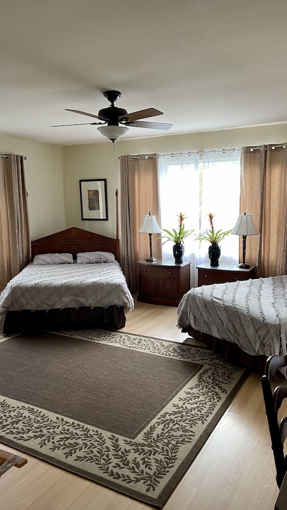 Room (Botanical) - Photo 3