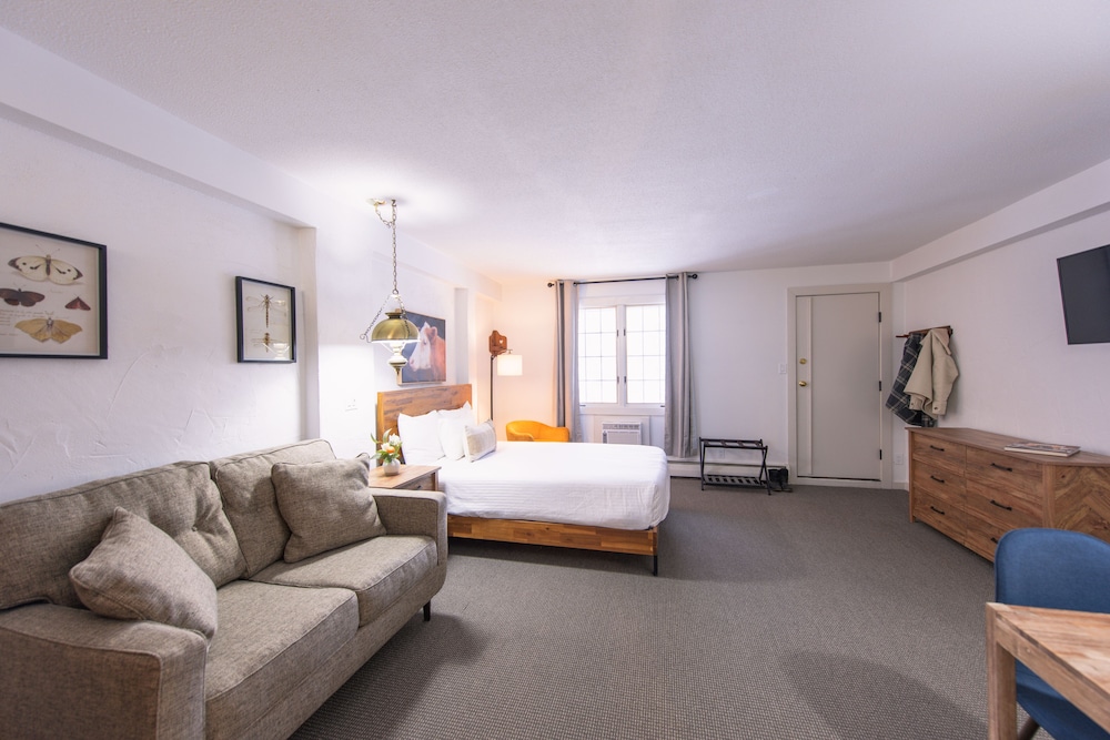Junior Suite - 1 Queen & 2 Doubles