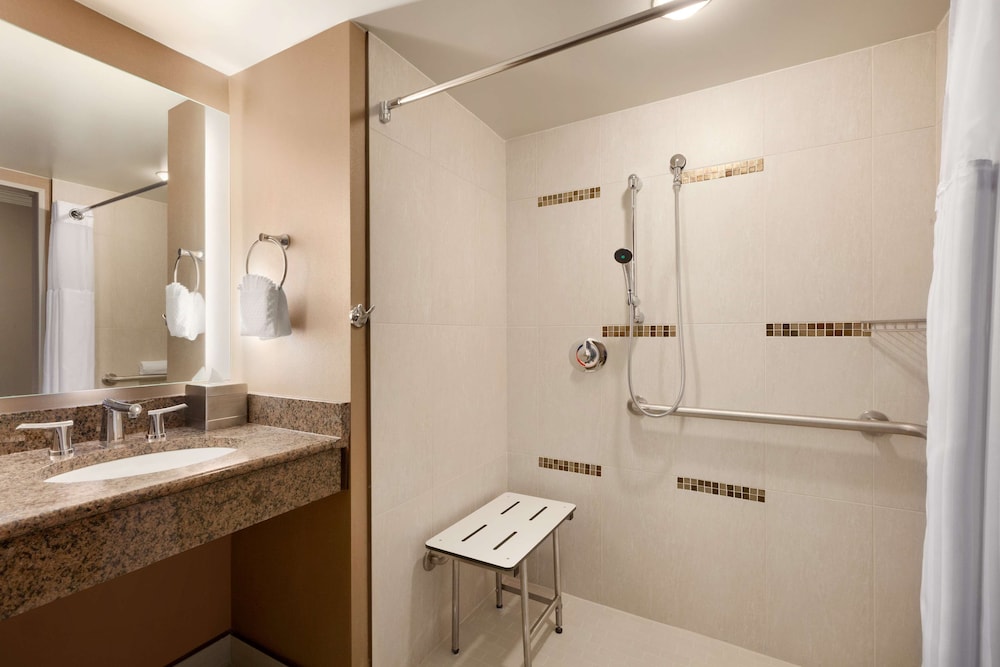 Room, 1 King Bed, Accessible (Roll-In Shower) - Photo 4