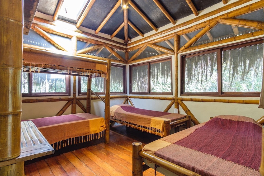 Shared Dormitory, Mixed Dorm (4 beds) photo 1
