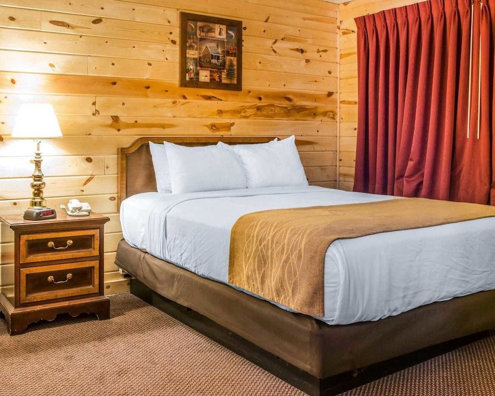 Basic Single Room, 1 Queen Bed photo 1