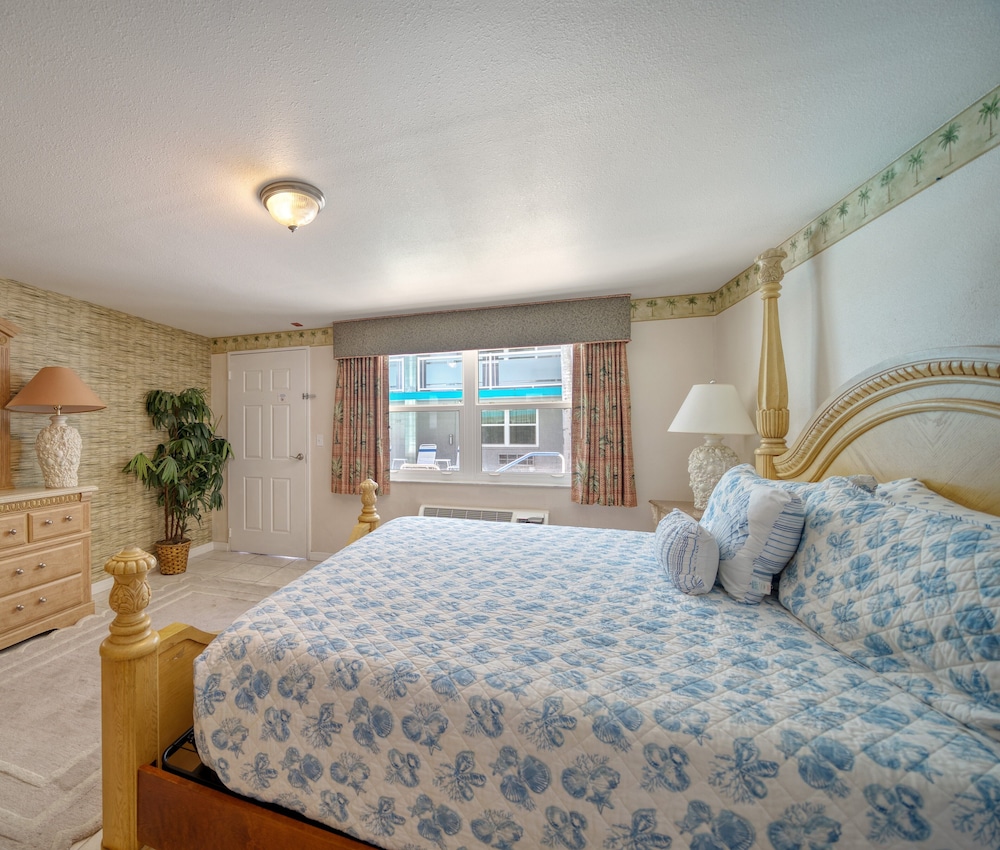 Basic Room, 1 King Bed photo 2