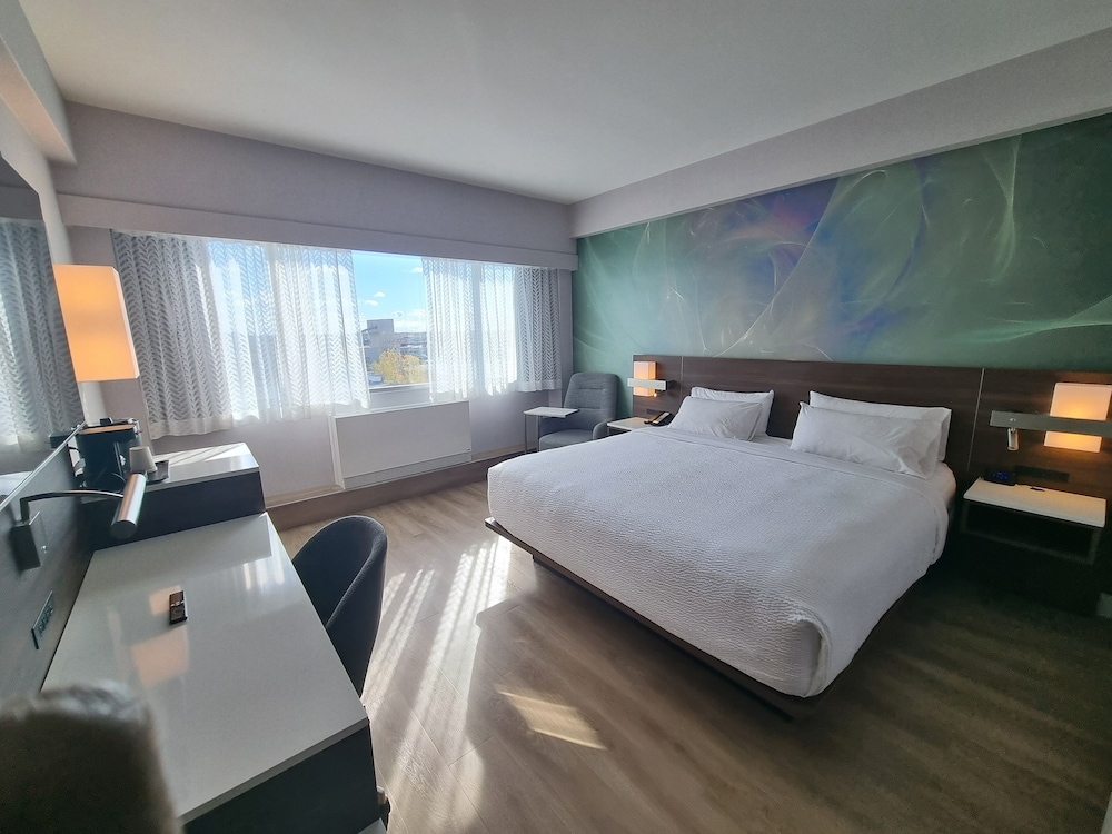 Standard Room, 1 Queen Bed, Mobility Accessible, Non Smoking photo 3