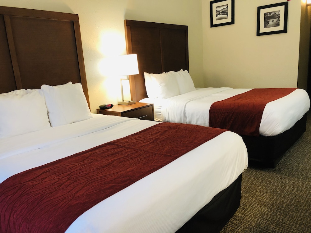 Standard Room, 2 Double Beds, Non Smoking - Photo 4