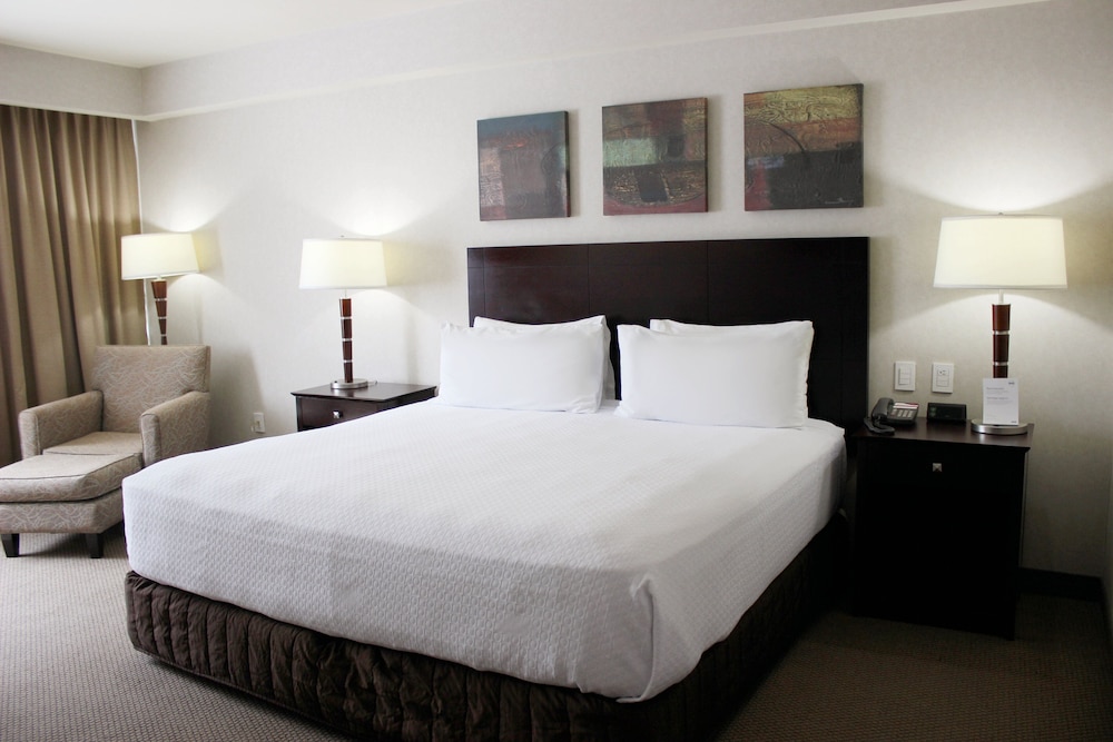 Suite, 1 King Bed - Photo 7