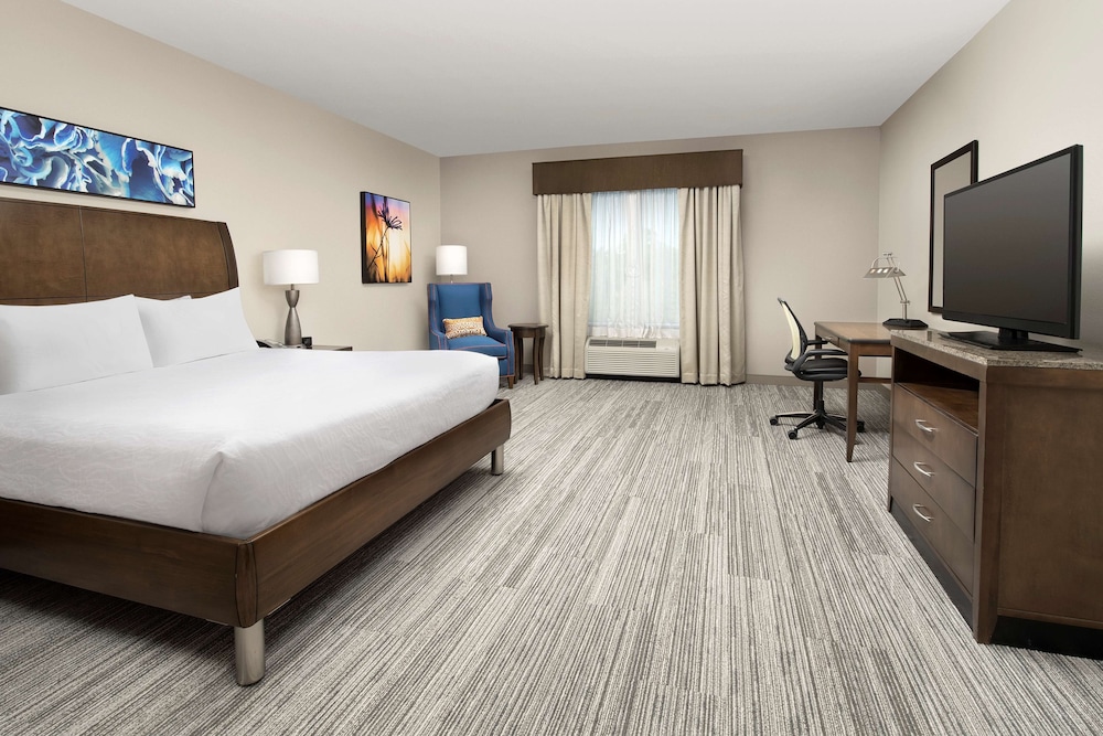 Room, 1 King Bed, Bathtub photo 1