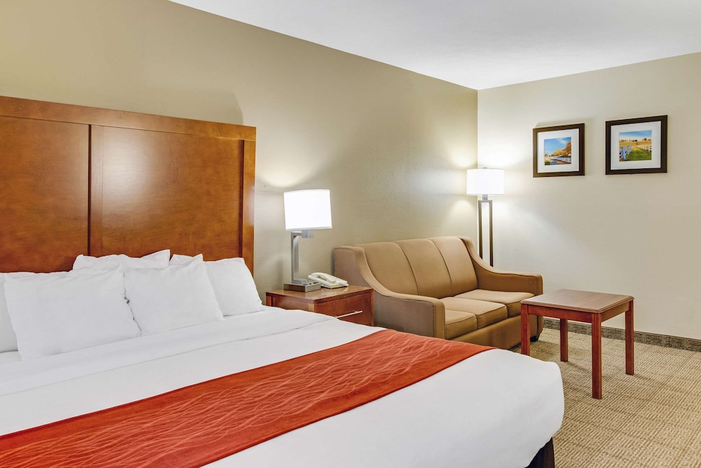 Room, 1 King Bed, Non Smoking photo 3