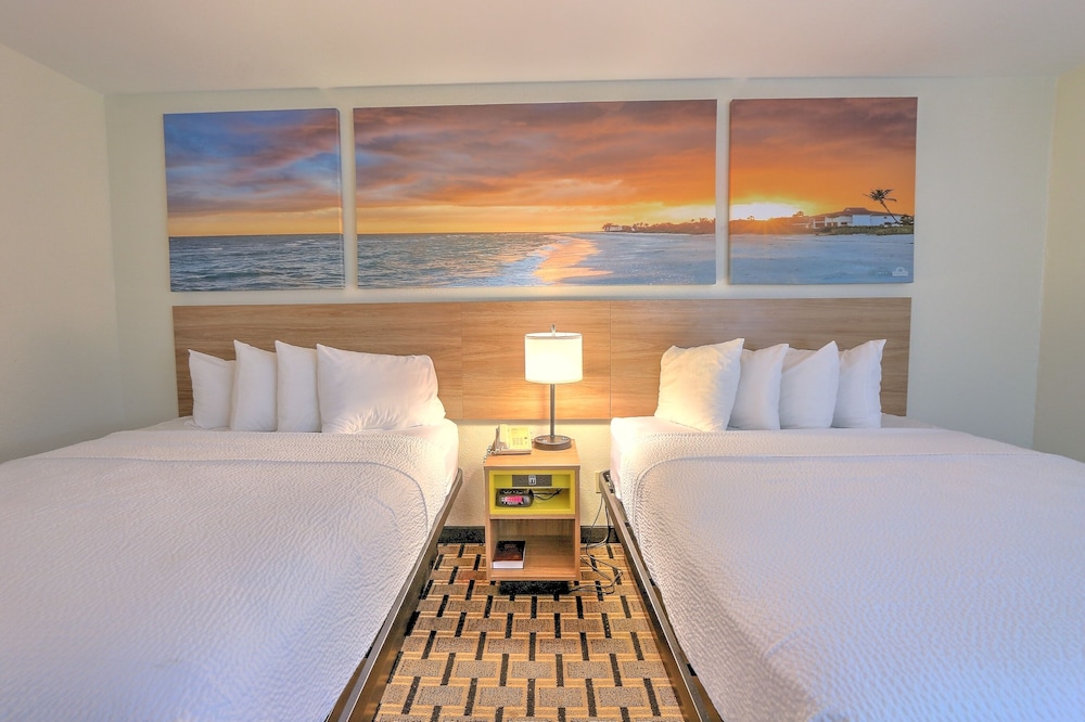 Suite - Photo 1