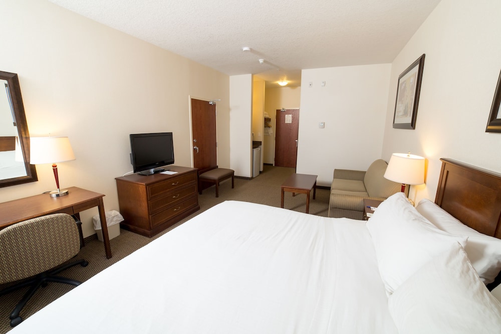 Suite, 1 King Bed with Sofa bed photo 3