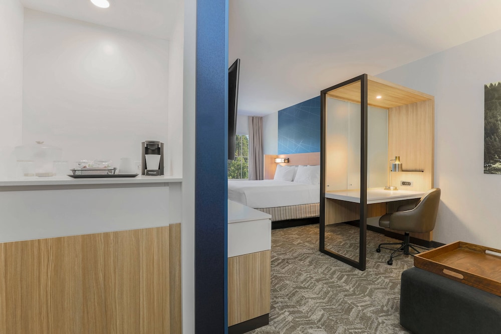 Studio Suite, 1 King Bed - Photo 4