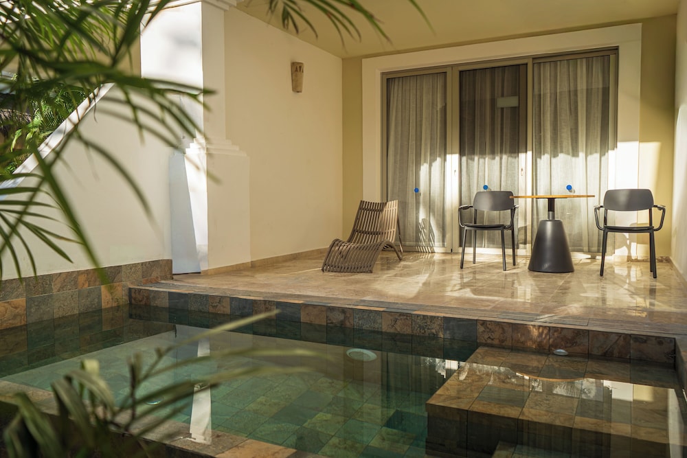 Platinum Suite Plunge Pool - Photo 6